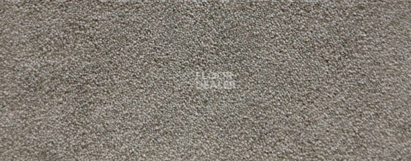 Ковролин Radici Lord Avena 331B фото 1 | FLOORDEALER